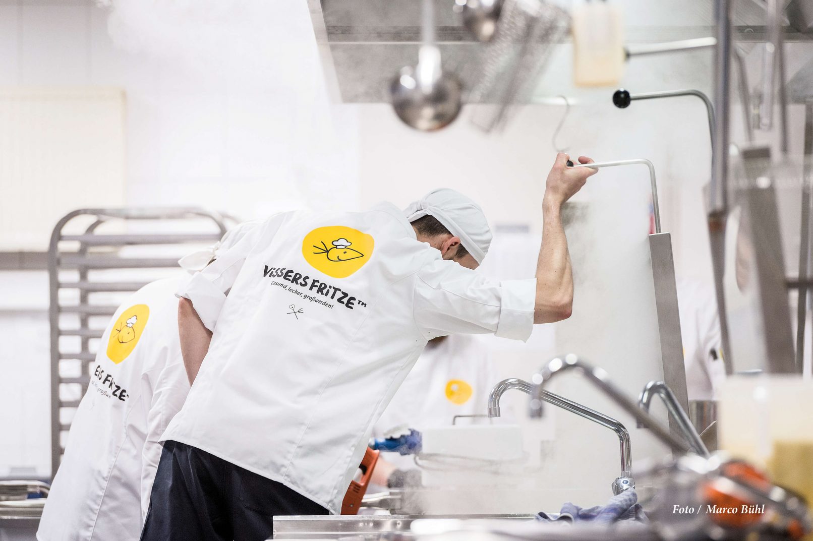 Corporate-Design-Vissers-Fritze-Einblick-1-WERTBLICK